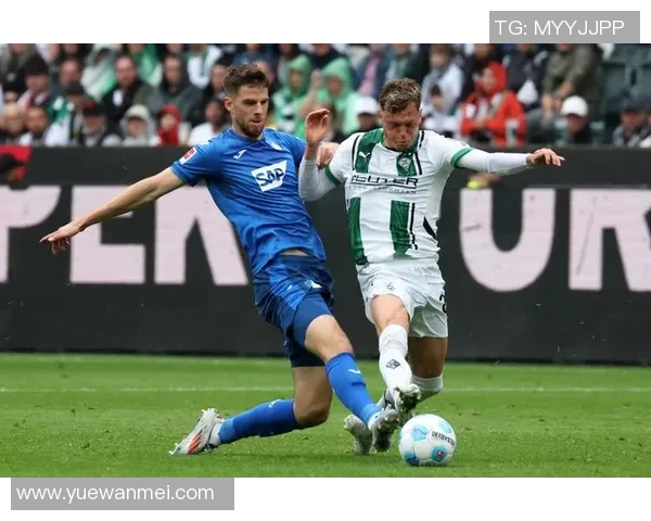 沃尔夫斯堡主场力克霍芬海姆,德甲积分榜上升至第七位——激荡人心的比赛瞬间